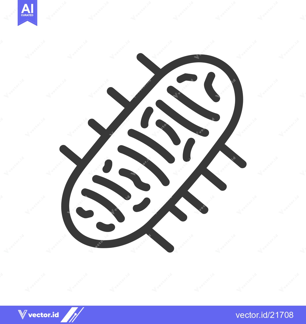 Premium Vector dari An isolated outline illustration depicting an internal cellular organe