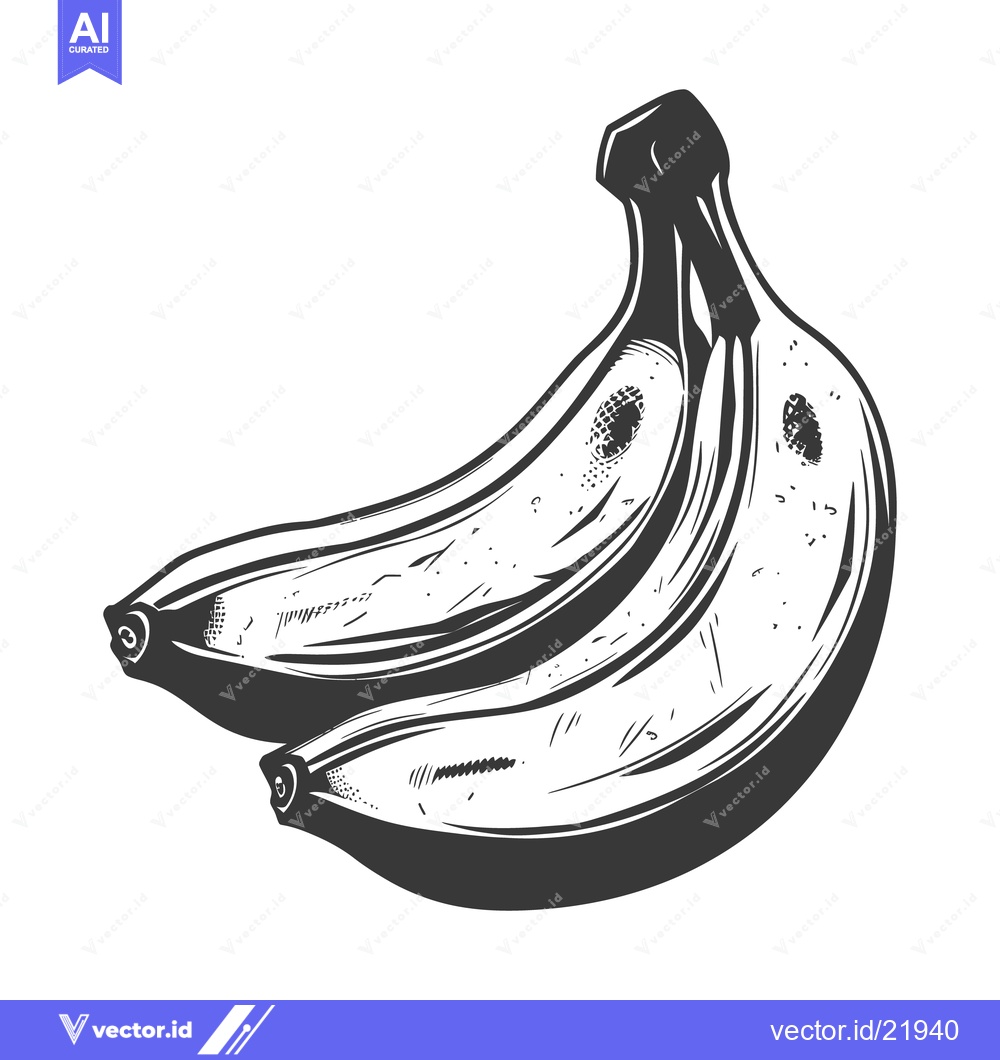 Premium Vector dari Two ripe yellow bananas are displayed in a detailed monochrome illustr