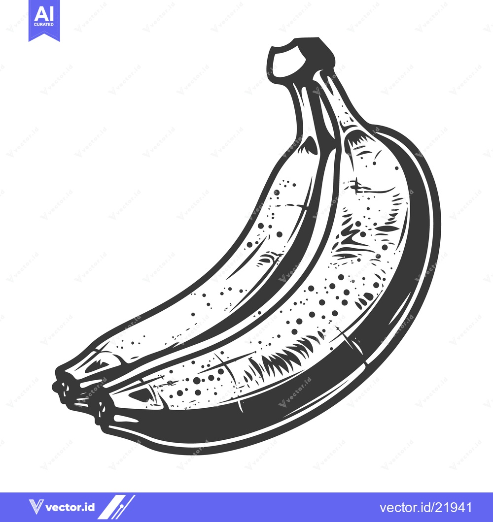Premium Vector of Two ripe bananas displayed in a black and white sketch drawing