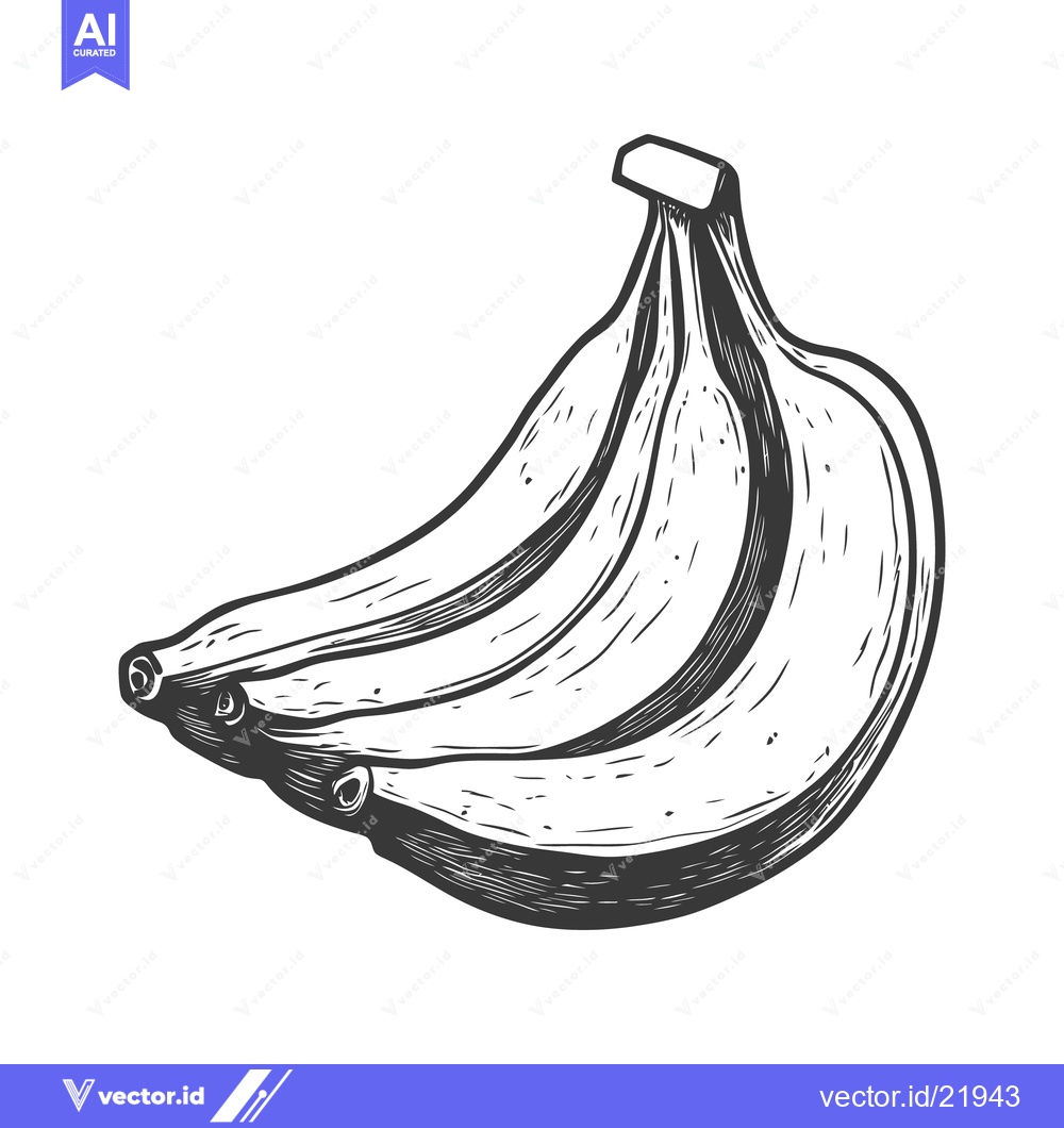 Premium Vector of A detailed monochrome illustration of a bunch of bananas