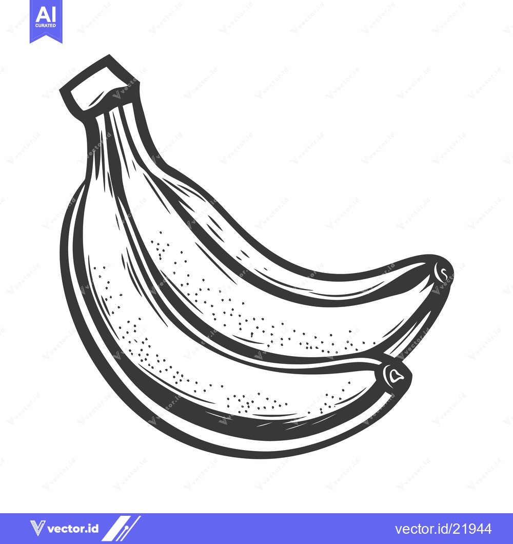 Premium Vector dari A monochrome drawing depicting three curved bananas together on stem