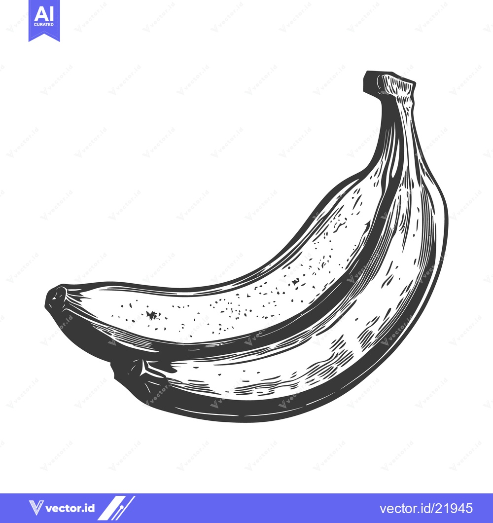 Premium Vector dari A single banana fruit depicted in a detailed black and white illustrat