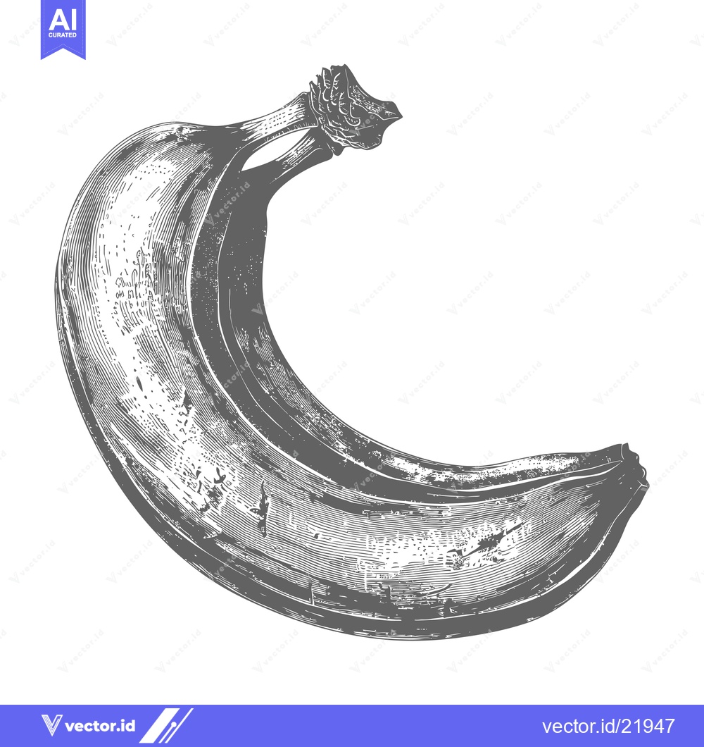Premium Vector of A Single Ripe Banana Presented on a White Background
