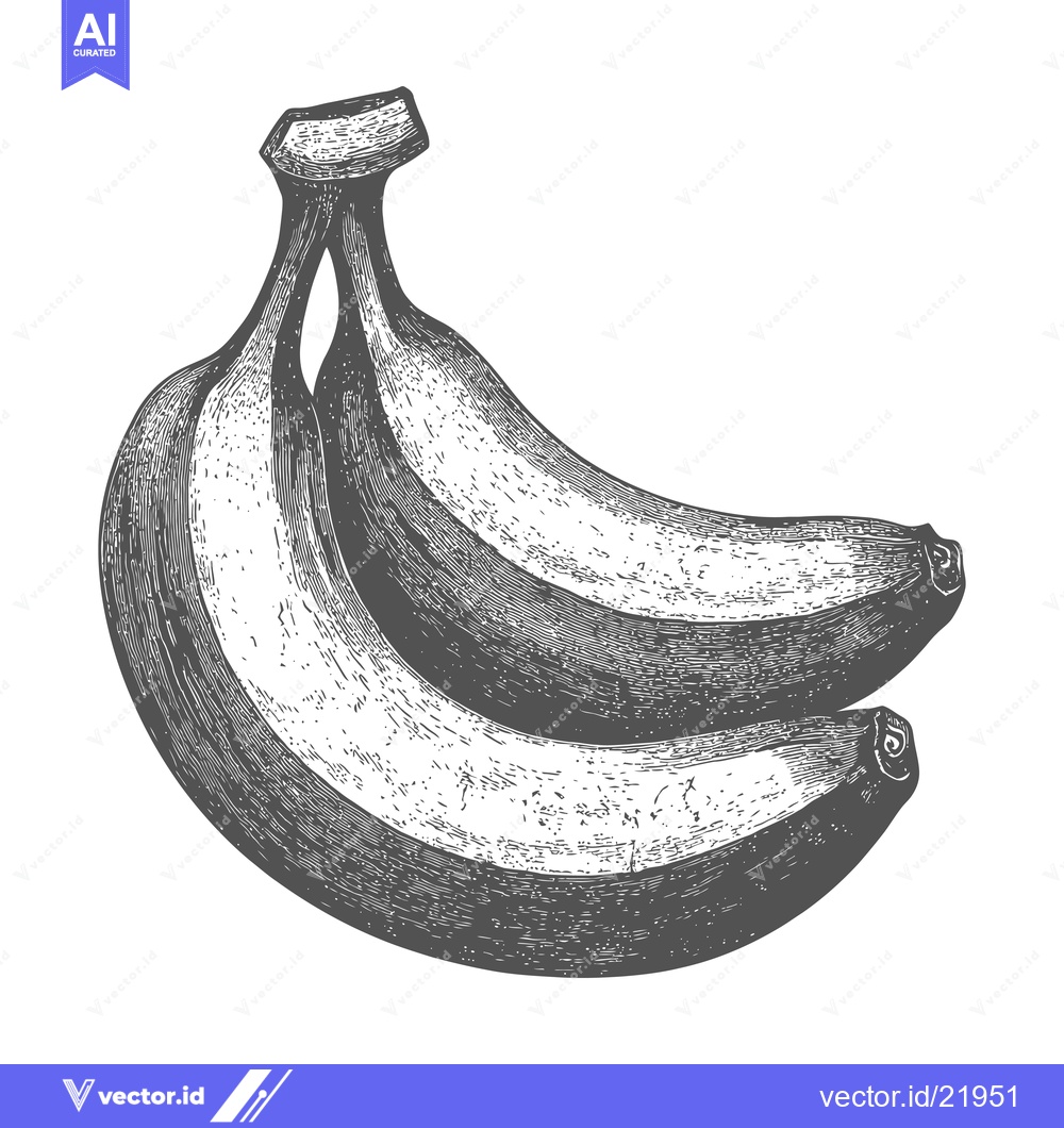 Premium Vector of A sketch depicts two bananas attached together by their stems