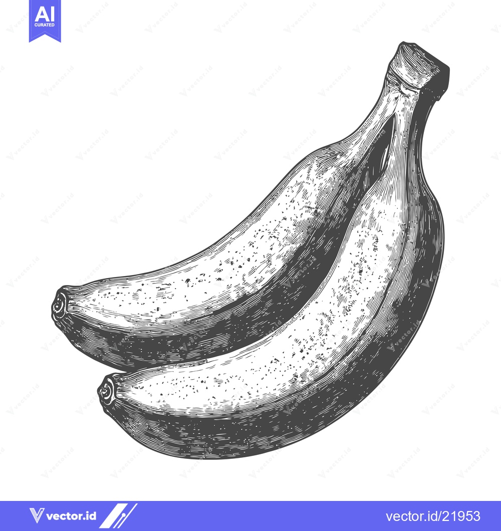 Premium Vector of A pair of bananas on a white background is depicted with detail