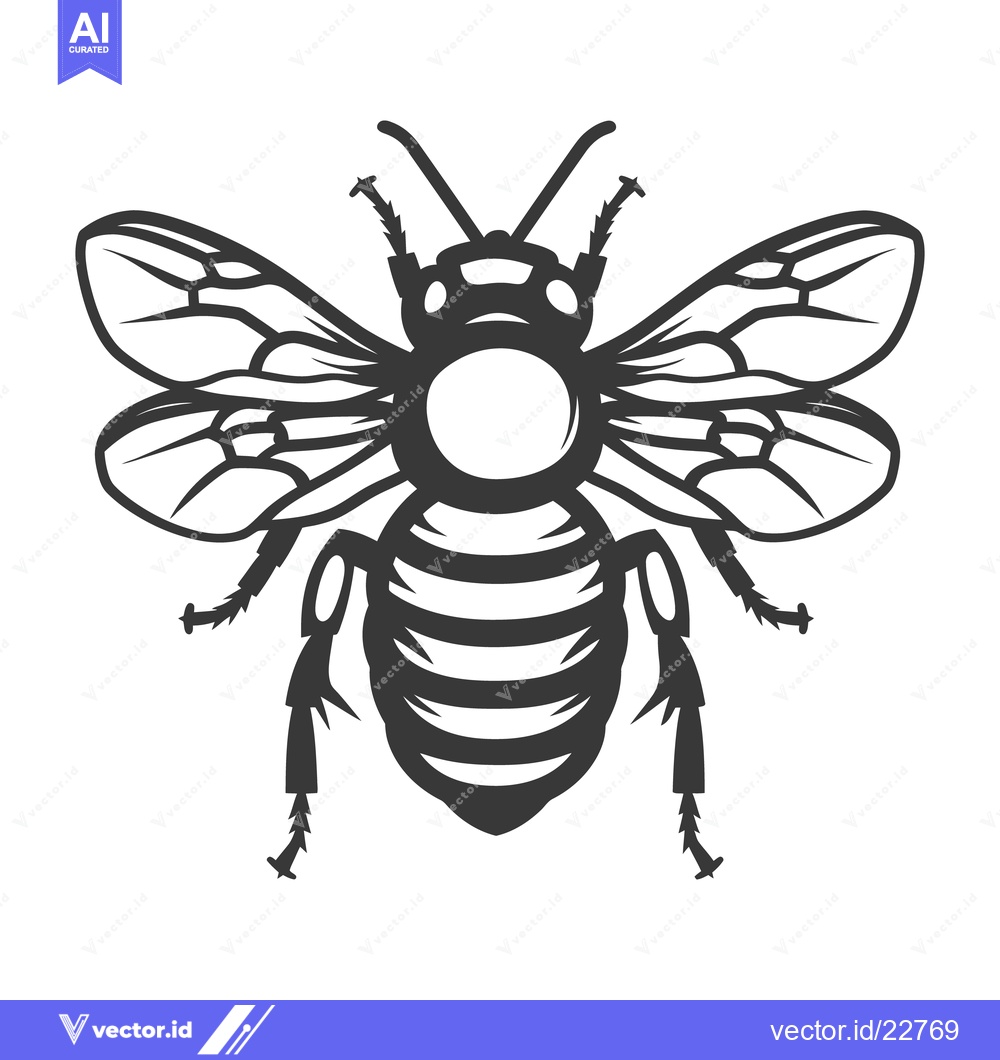 Premium Vector dari A graphic black and white illustration of a honeybee insect