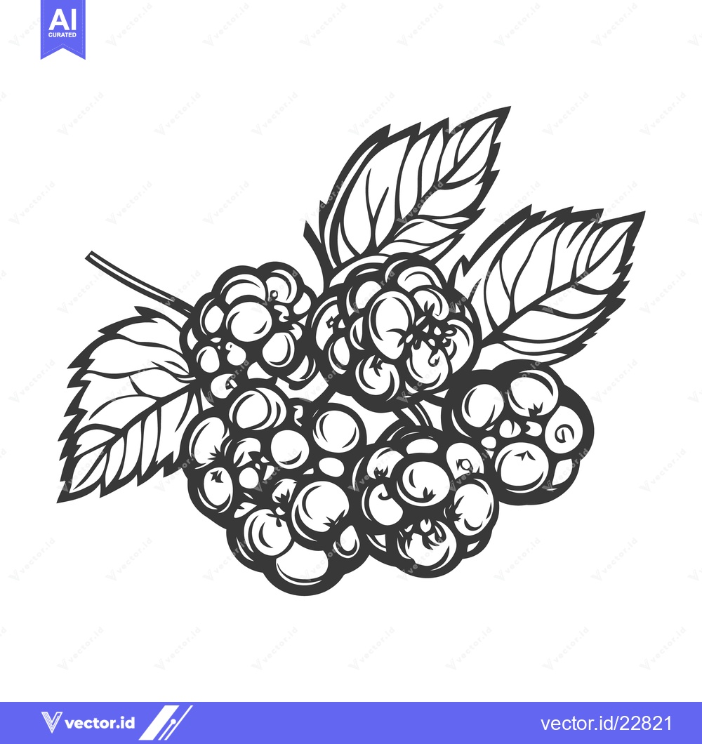 Premium Vector of A monochrome depiction of a cluster of ripe blackberries with leaves