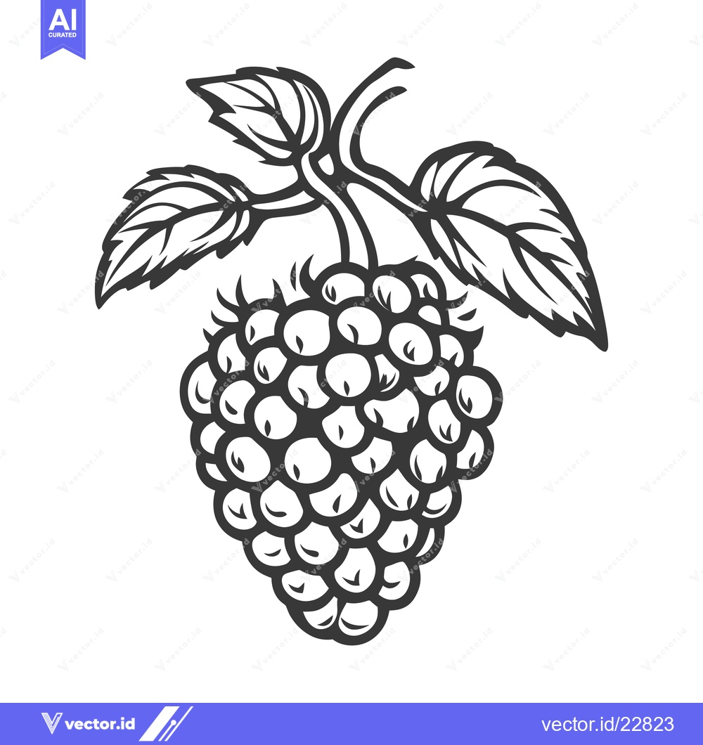 Premium Vector of A monochrome illustration showing a ripe berry with leaves