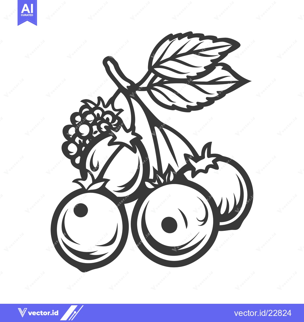 Premium Vector of Graphic illustration showing fruit berries and leaves on a branch