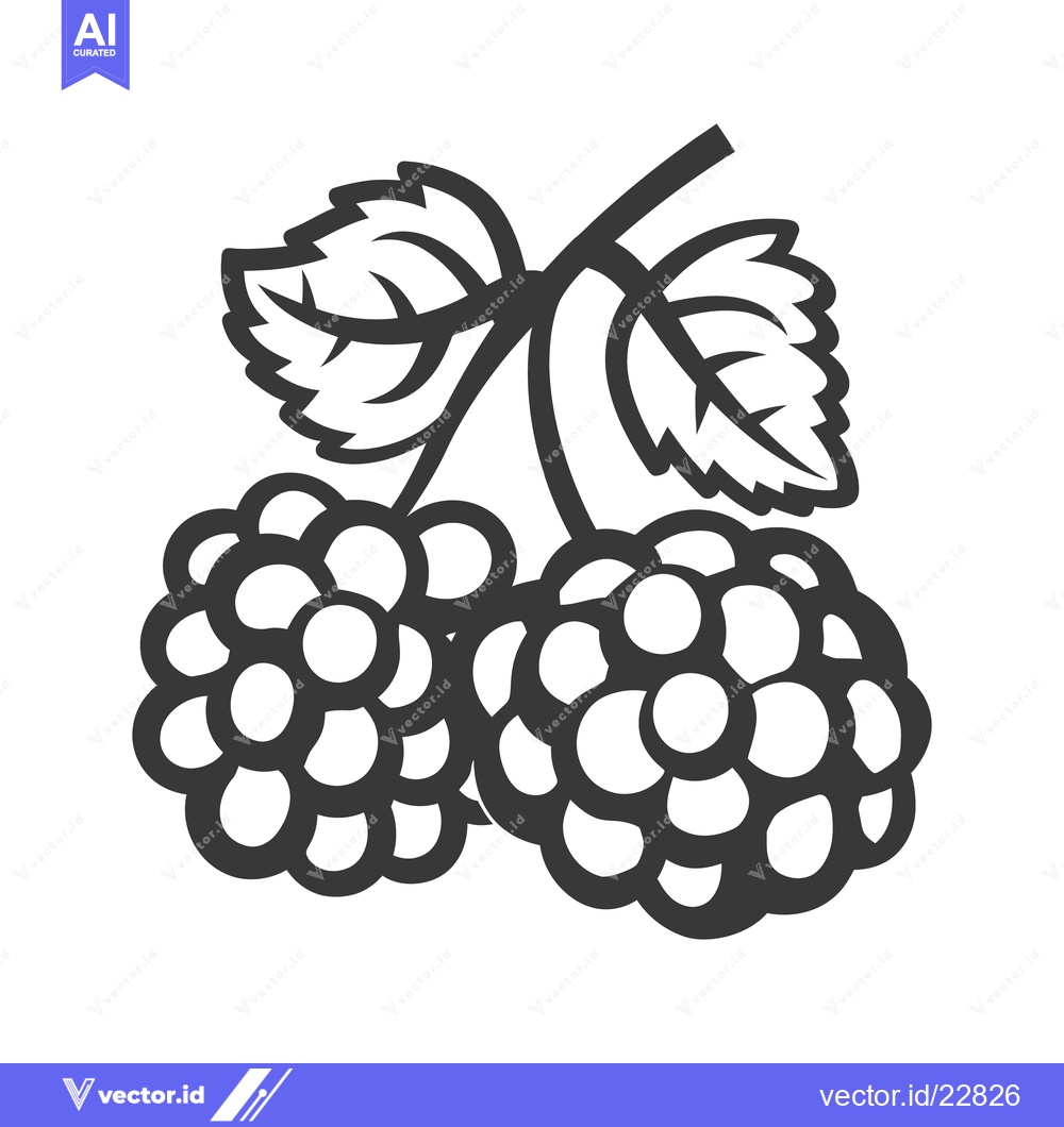 Premium Vector dari Two black berries with leaves on a shared stem are depicted