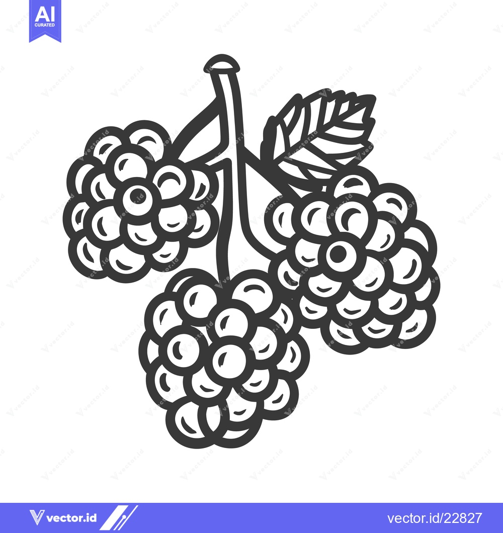 Premium Vector dari Three Blackberries with Leaves are Shown on a Single Stem
