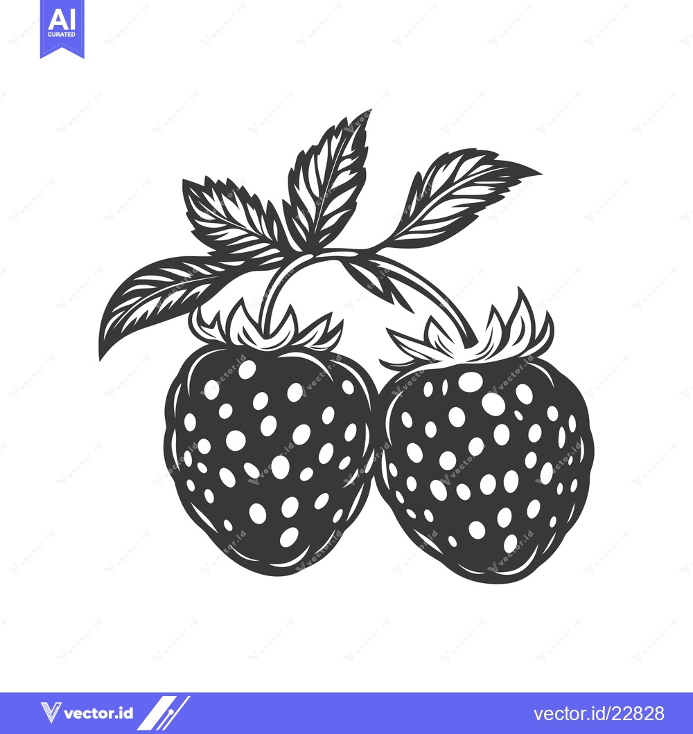 Premium Vector dari Two detailed strawberries with leaves in a black and white design