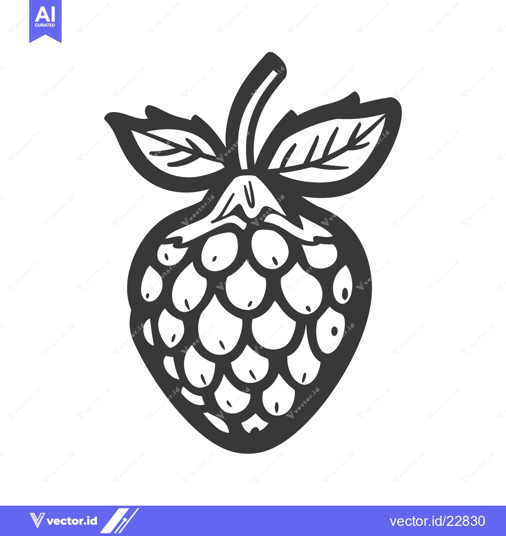 Premium Vector dari A simple outlined drawing of a fresh raspberry fruit