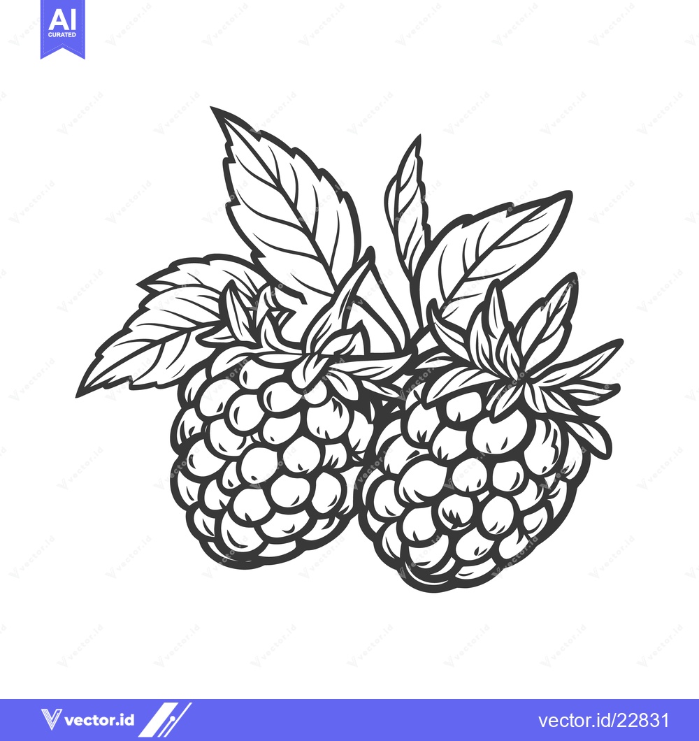 Premium Vector dari Two raspberries with leaves depicted in a black and white image