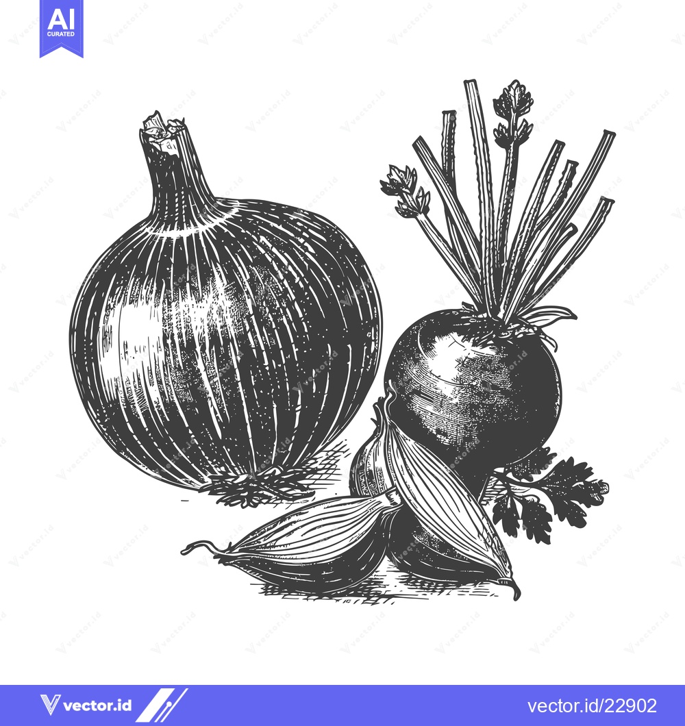 Premium Vector of Onion Beet Garlic and Parsley Vegetable Illustration