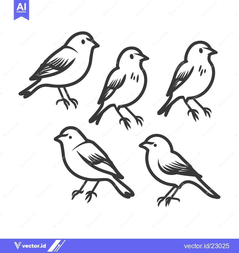 Premium Vector dari Outlined illustrations of five small birds standing on a white surface