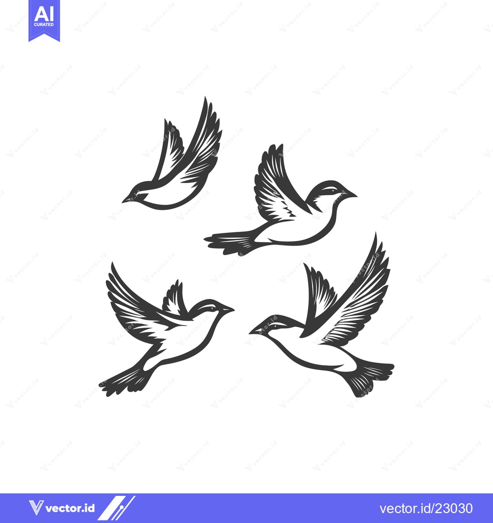 Premium Vector dari Four black and white illustrations of birds in mid flight
