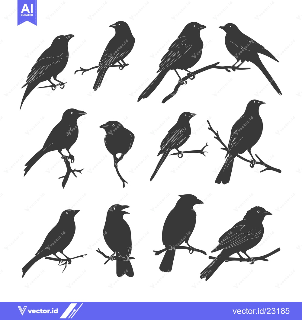 Premium Vector dari Black and White Bird Silhouettes Perched on Branches