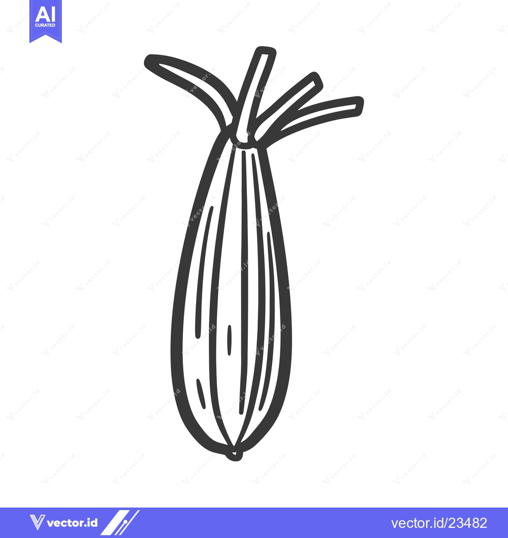 Premium Vector dari Black and White Hand Drawn Illustration of a Caraway Seed