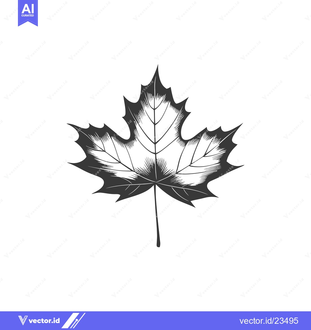 Premium Vector dari Black and White Hand-Drawn Illustration of a Maple Leaf