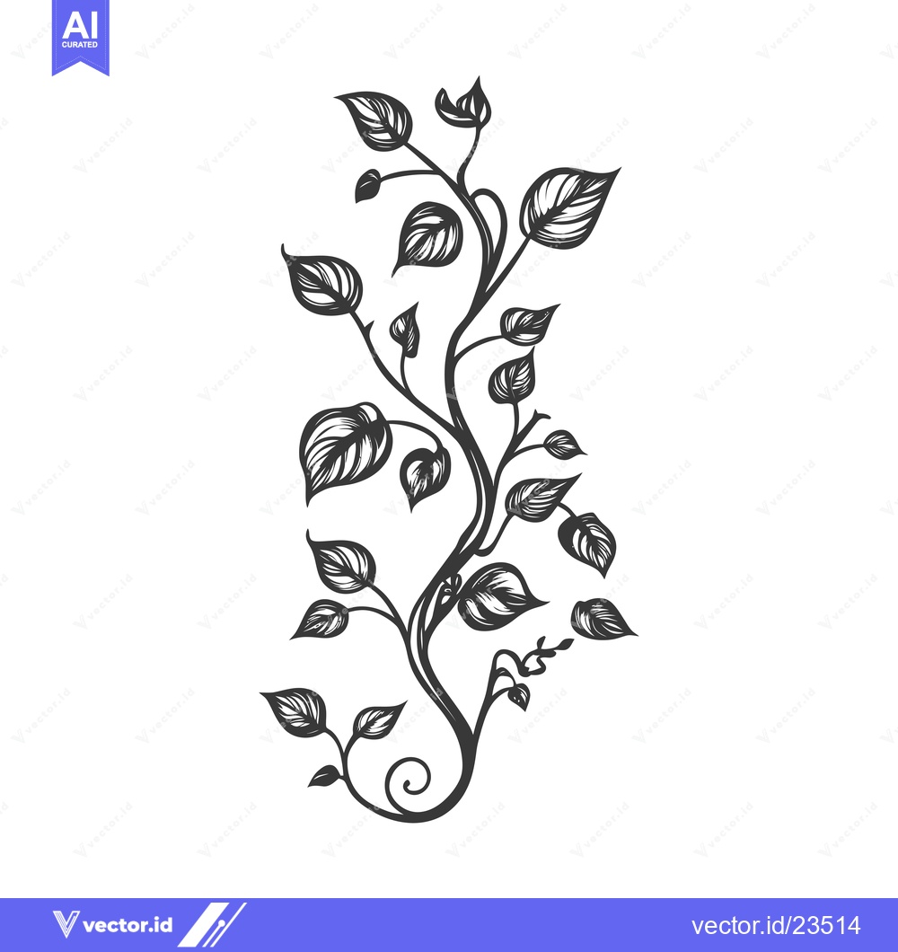 Premium Vector dari Black and white hand-drawn illustration of a vine with leaves