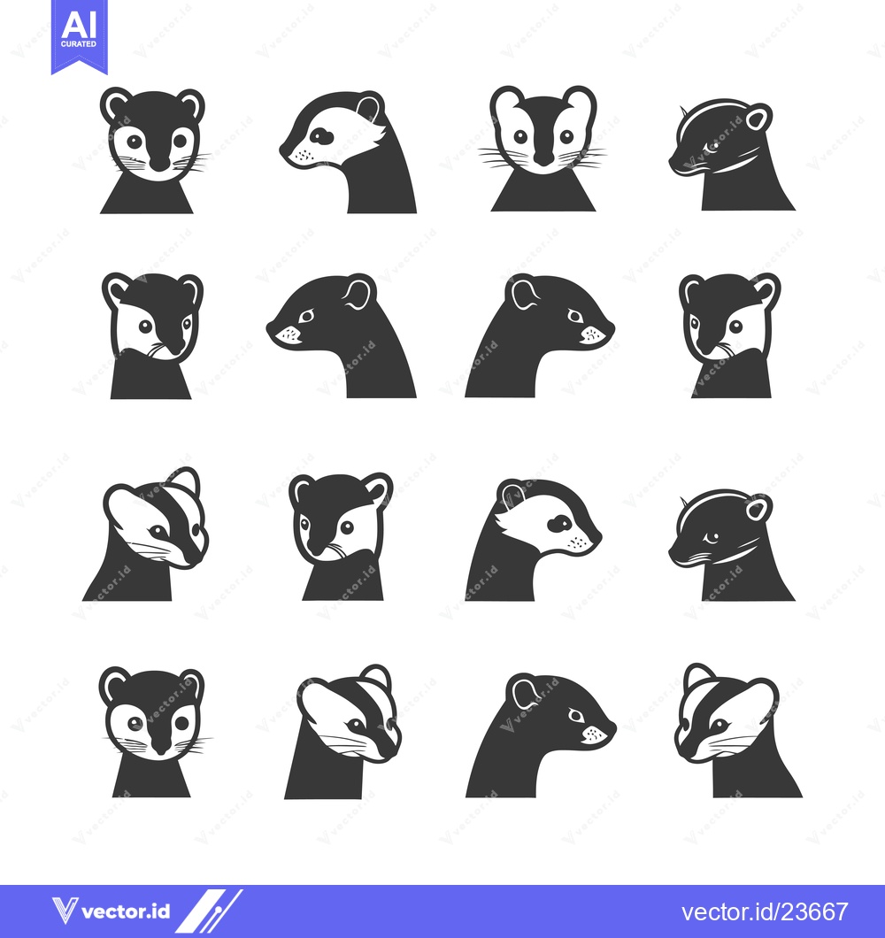 Premium Vector of Black and White Illustrated Heads of Long-tailed Weasels in Various Po