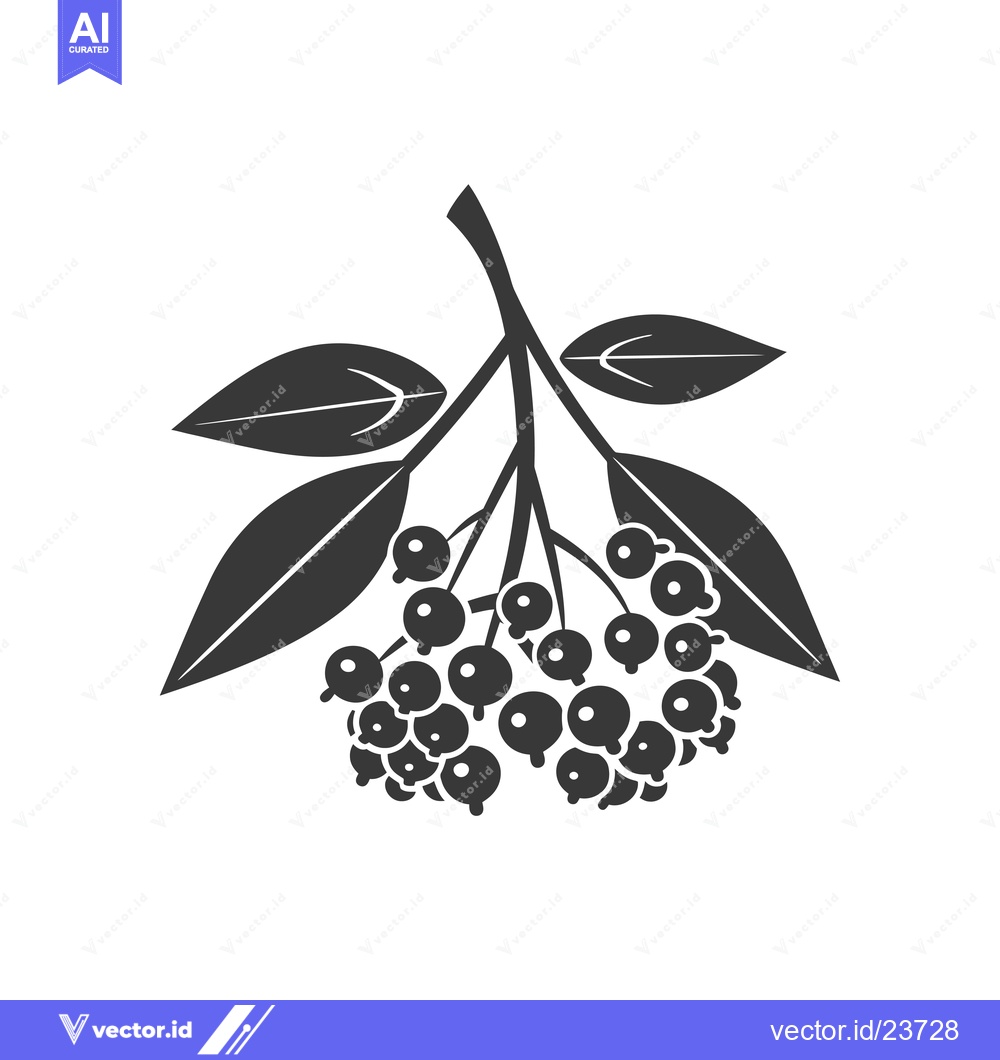 Premium Vector dari Black and White Illustration of a Branch of Berries