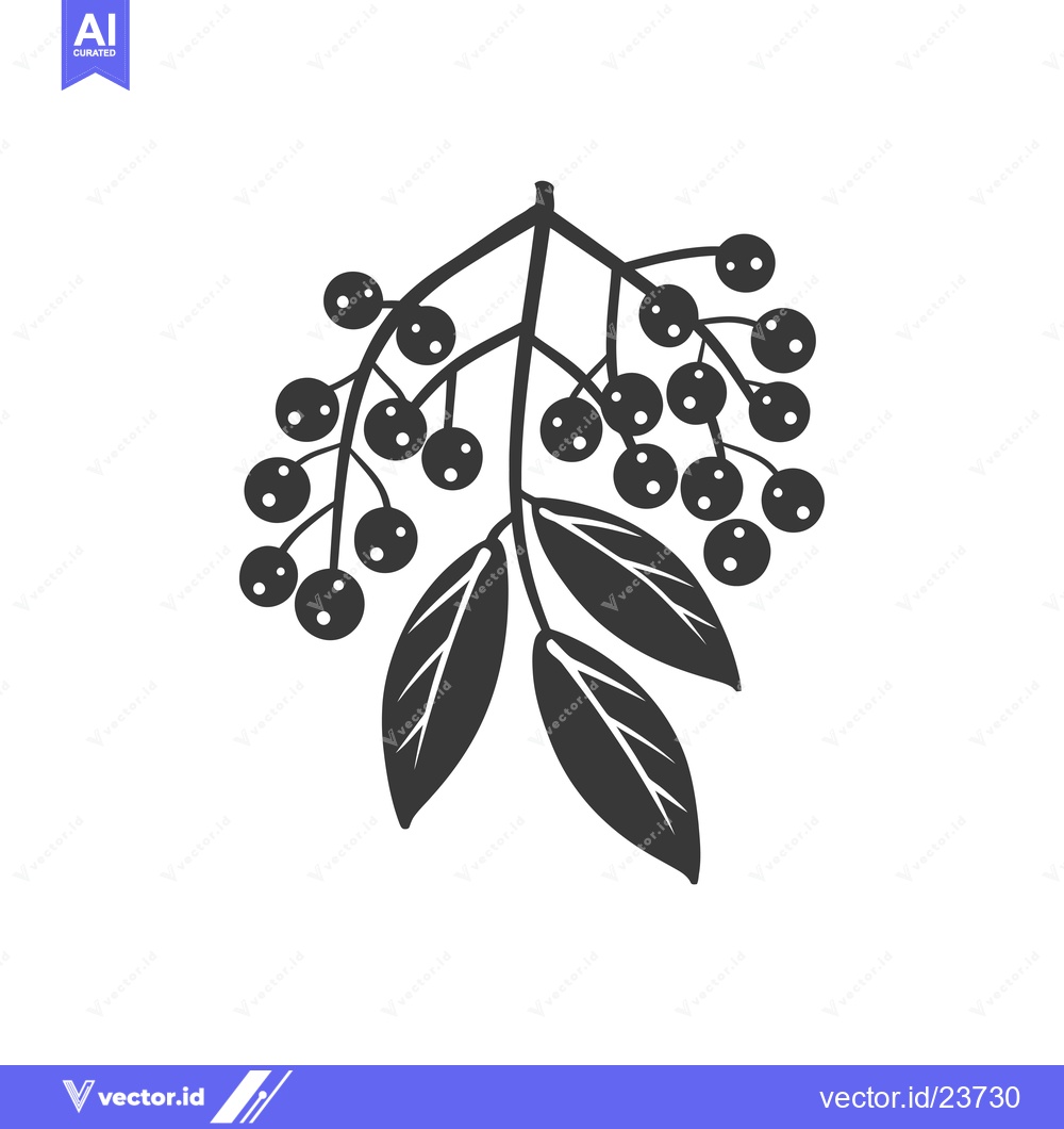 Premium Vector of Black and White Illustration of a Branch with Berries and Leaves