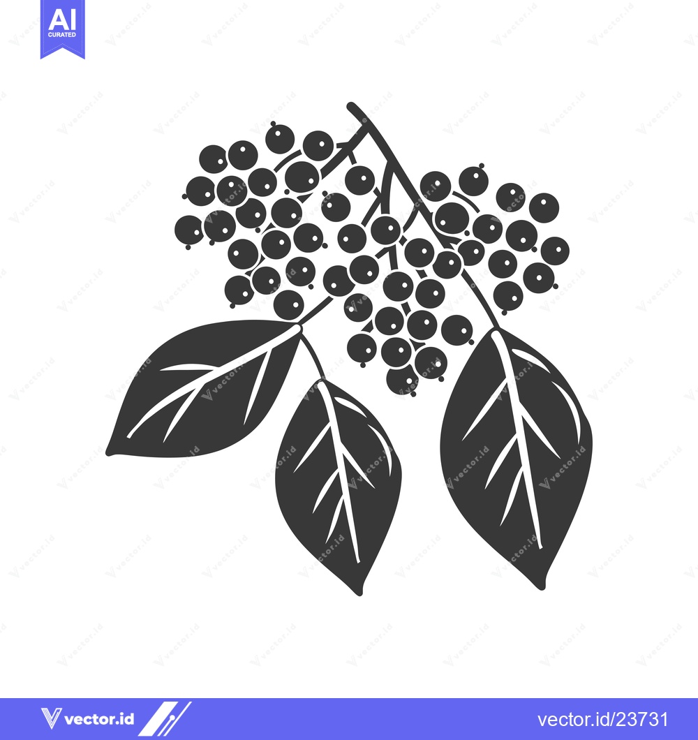 Premium Vector dari Black and White Illustration of a Branch with Berries and Leaves