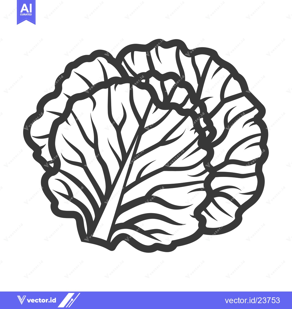 Premium Vector dari Black and White Illustration of a Cabbage Head