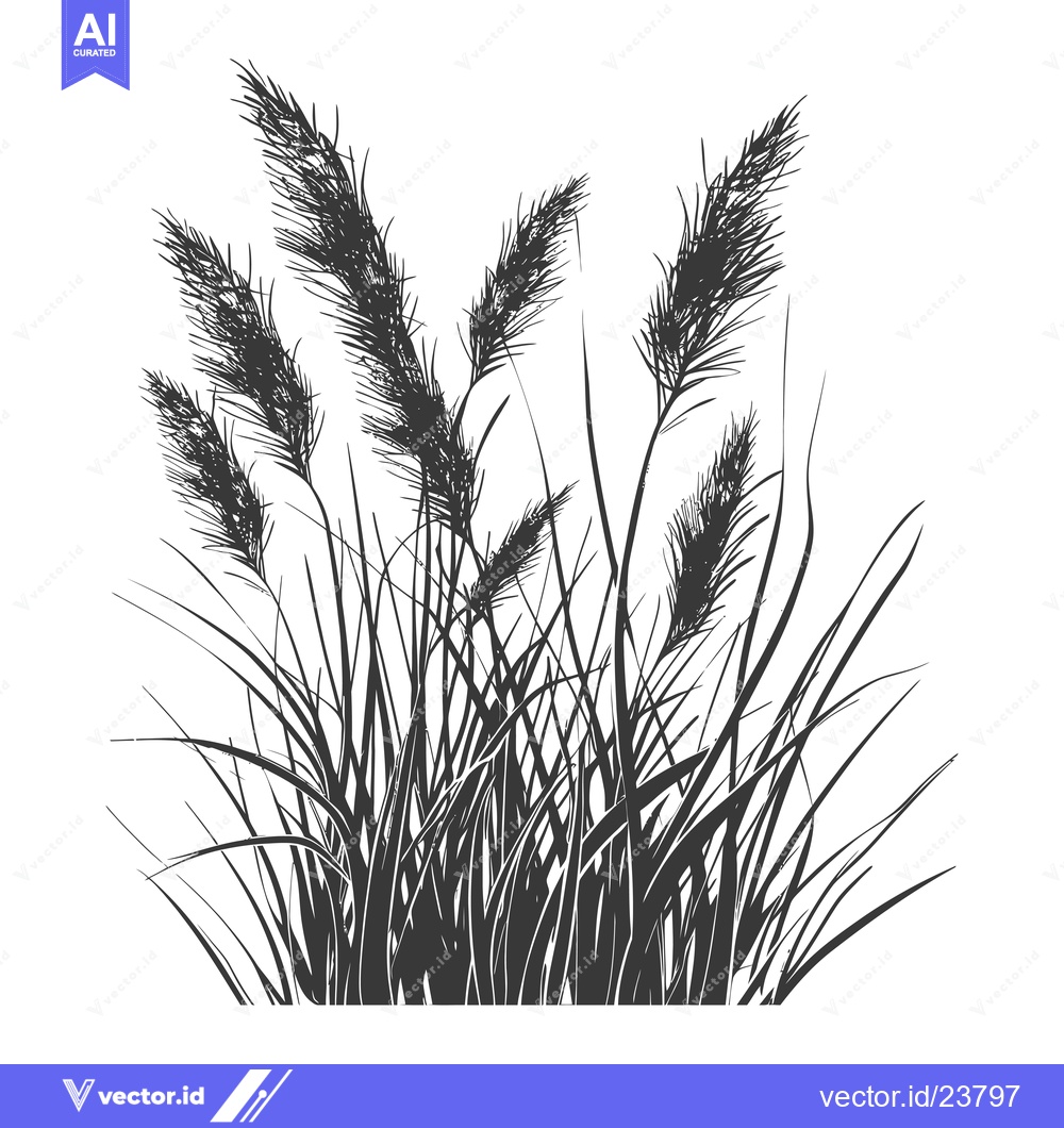 Premium Vector of Black and white illustration of a cluster of tall grass with long blad