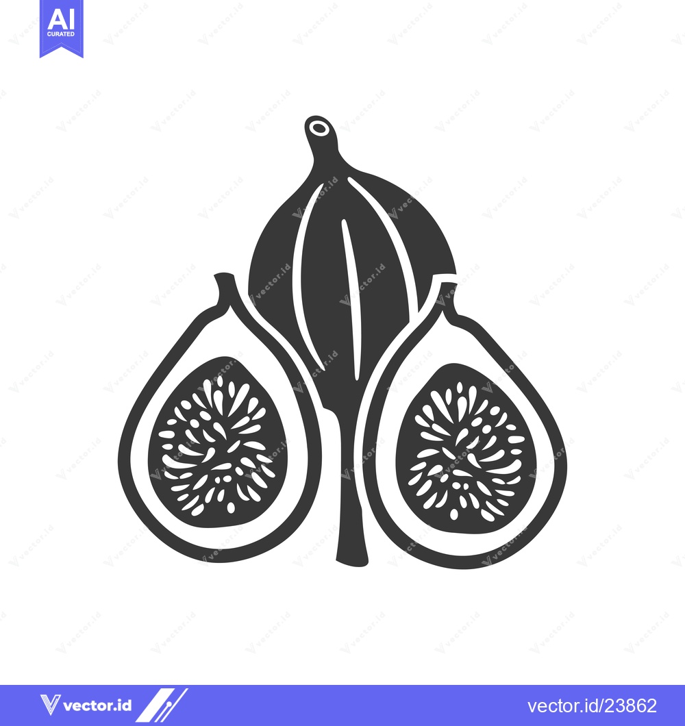 Premium Vector of Black and White Illustration of a Fig with Two Halves