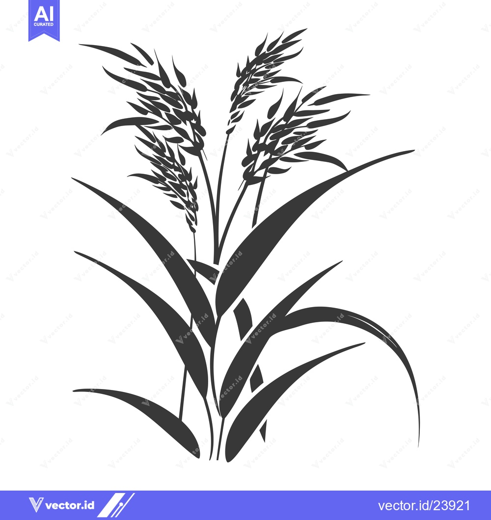 Premium Vector dari Black and White Illustration of a Grass Plant with Three Stalks