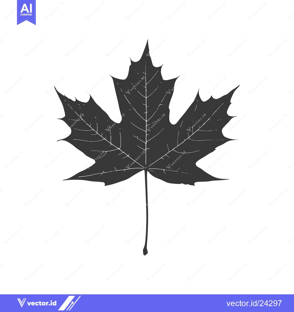 Premium Vector of Black and White Illustration of a Single Maple Leaf