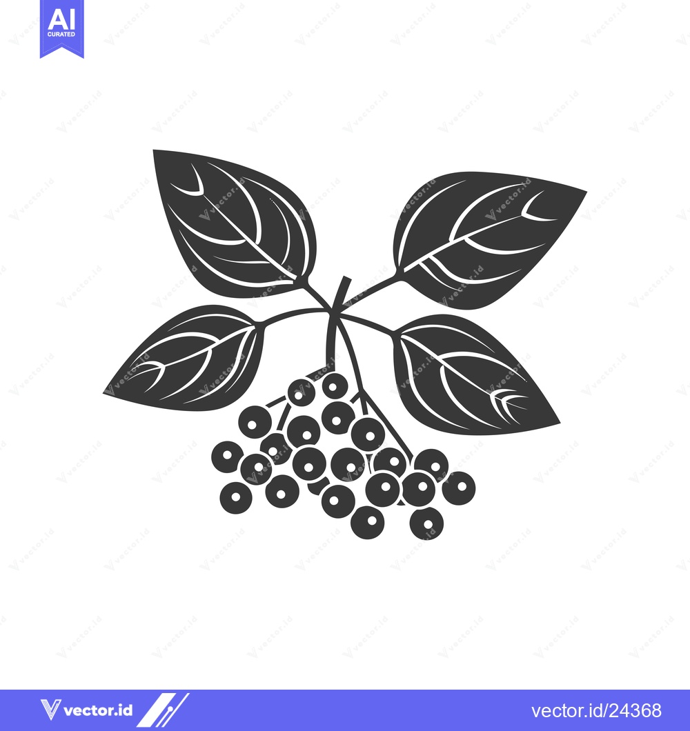 Premium Vector dari Black and White Illustration of a Sprig of Elderberries