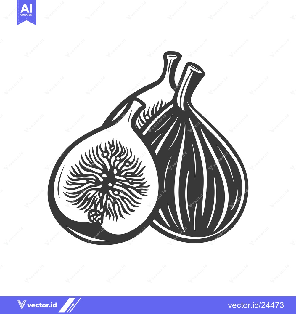 Premium Vector dari Black and white illustration of a whole and halved fig