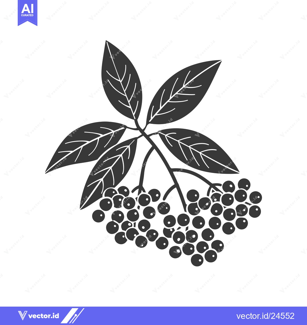 Premium Vector dari Black and White Illustration of Elderberry Branch with Berries