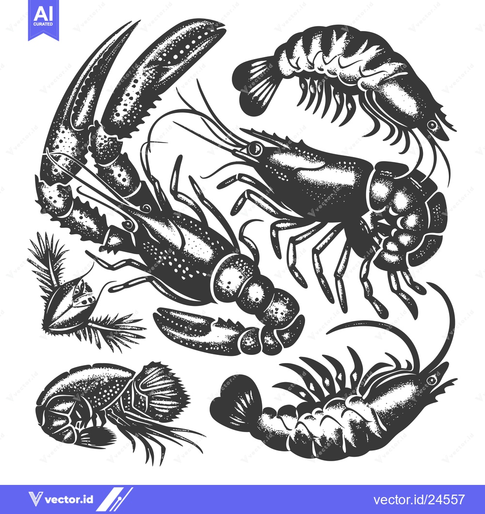 Premium Vector of Black and White Illustration of Five Different Seafood Creatures