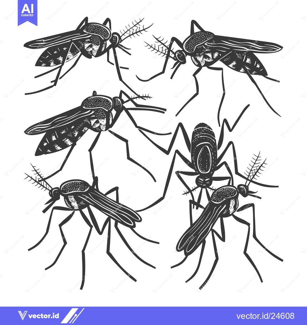 Premium Vector dari Black and White Illustration of Six Mosquitoes