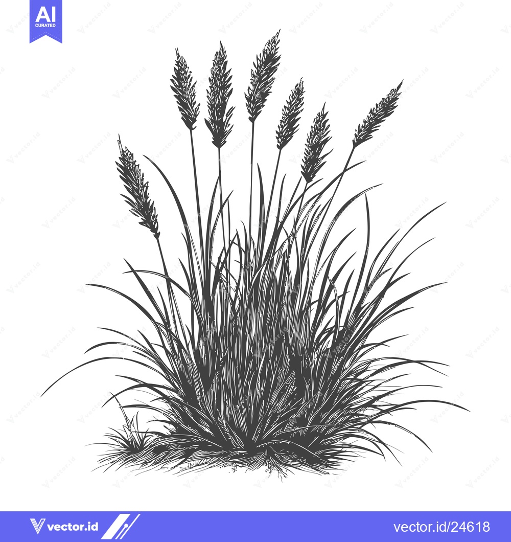 Premium Vector of Black and White Illustration of Tall Grass with Seed Heads