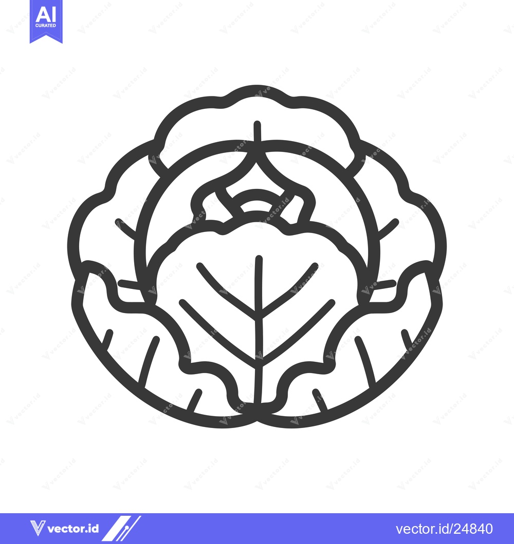 Premium Vector of Black and white line art illustration of a cabbage