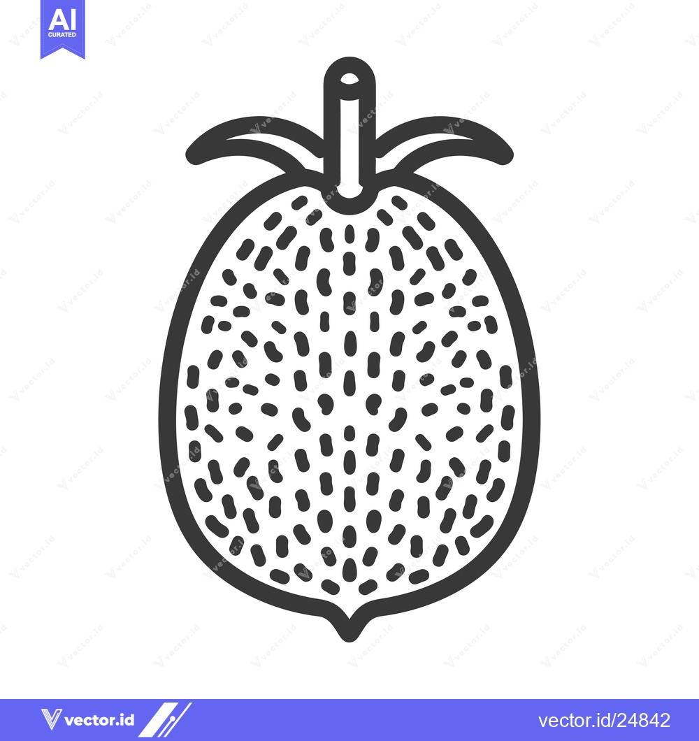 Premium Vector of Black and white line art illustration of a cape gooseberry