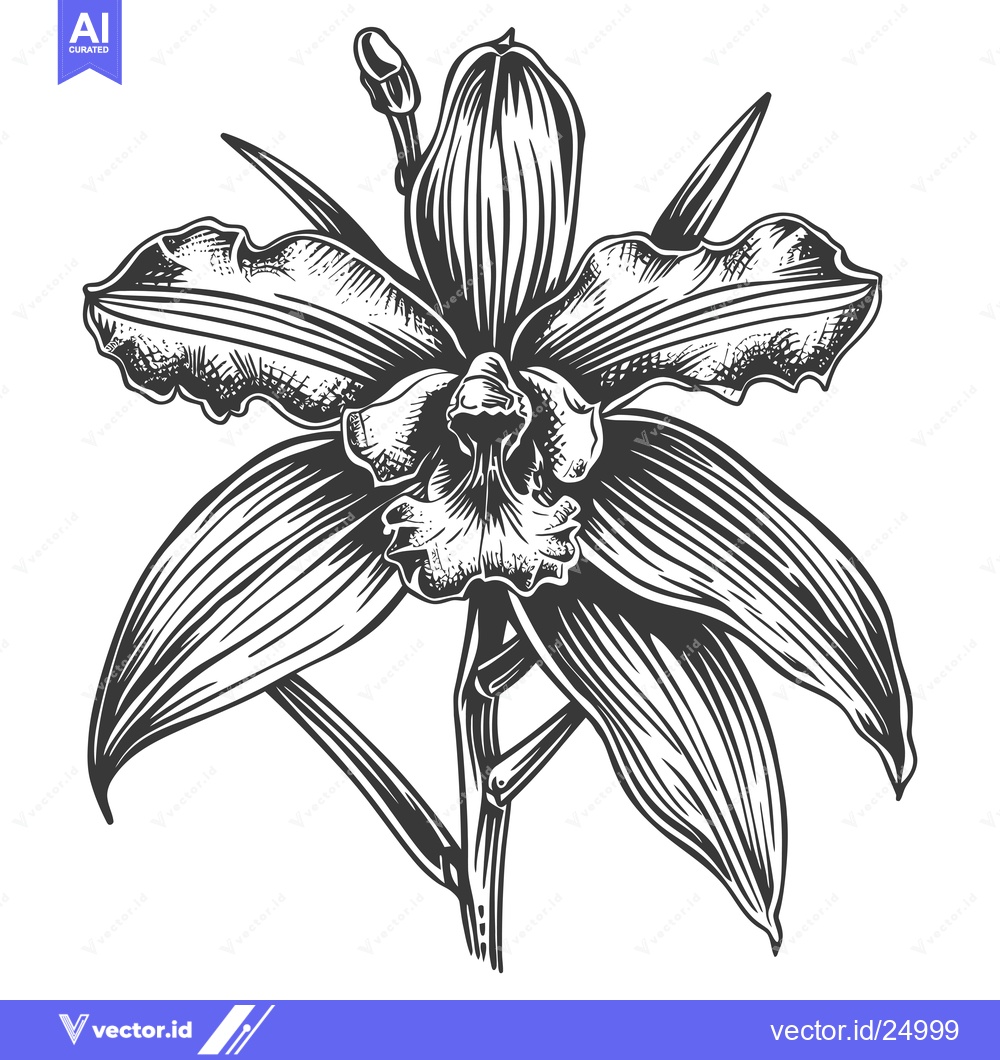 Premium Vector dari Black and White Line Art Illustration of an Orchid Flower