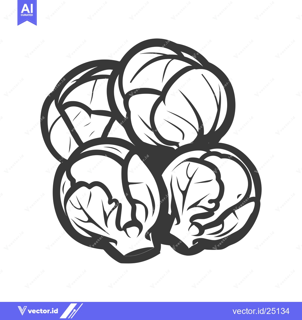 Premium Vector dari Black and White Line Art Illustration of Brussels Sprouts