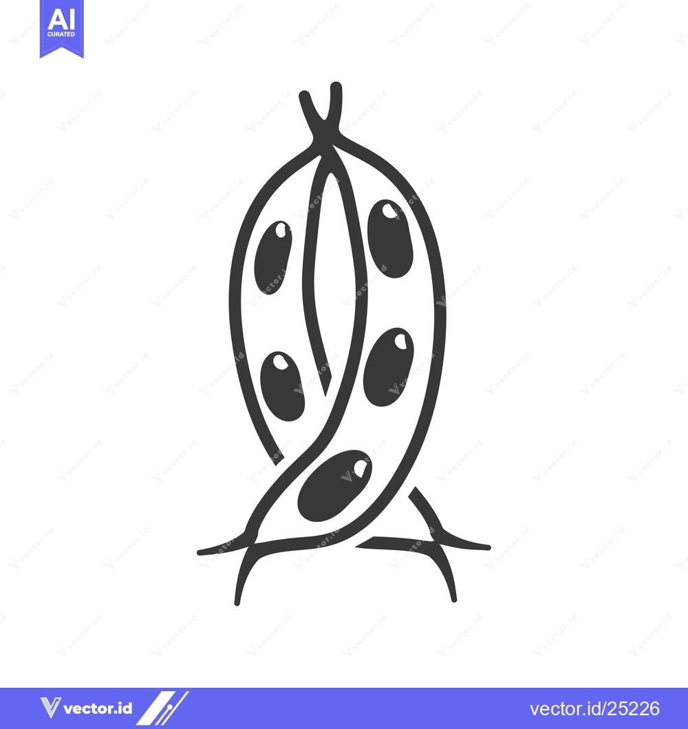 Premium Vector dari Black and White Line Drawing of a Bean Pod with Beans
