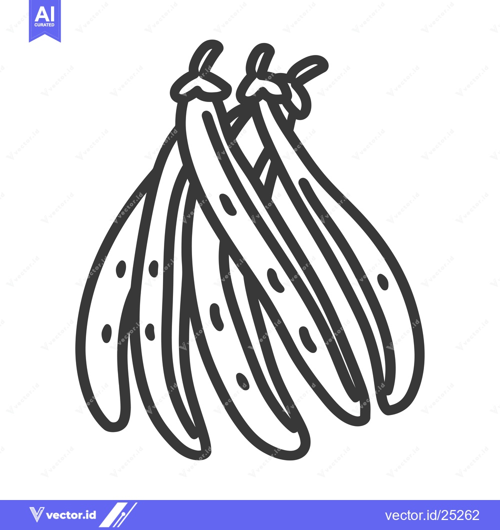Premium Vector of Black and White Line Drawing of a Bunch of String Beans