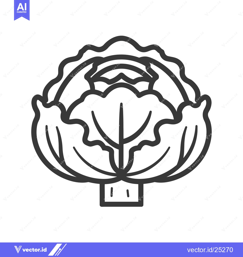Premium Vector dari Black and White Line Drawing of a Cabbage