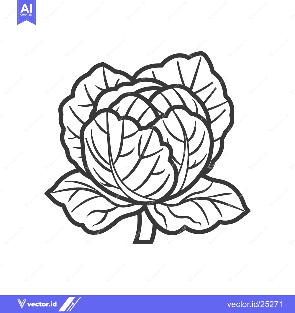 Premium Vector of Black and White Line Drawing of a Cabbage