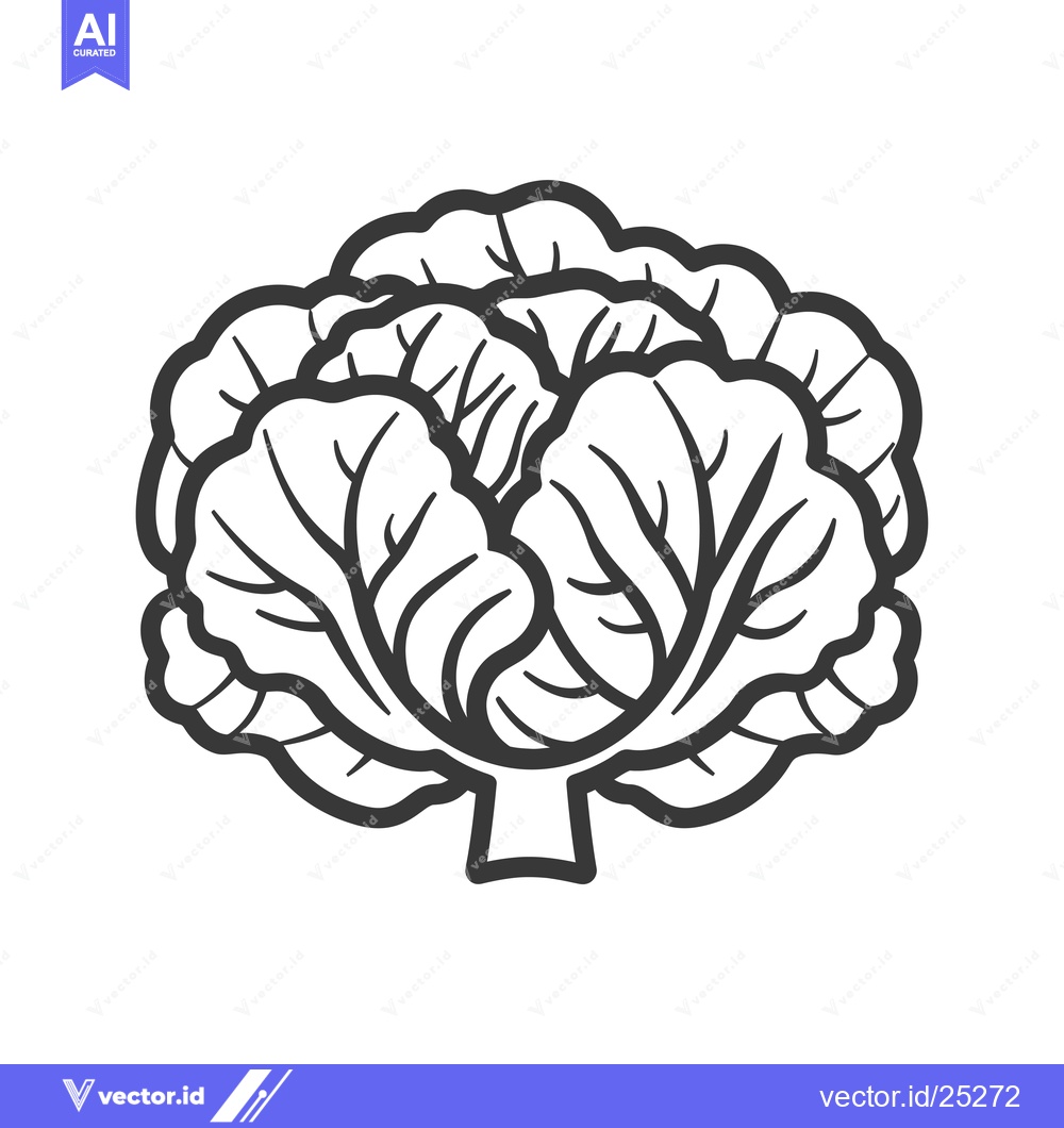Premium Vector dari Black and White Line Drawing of a Cabbage Head