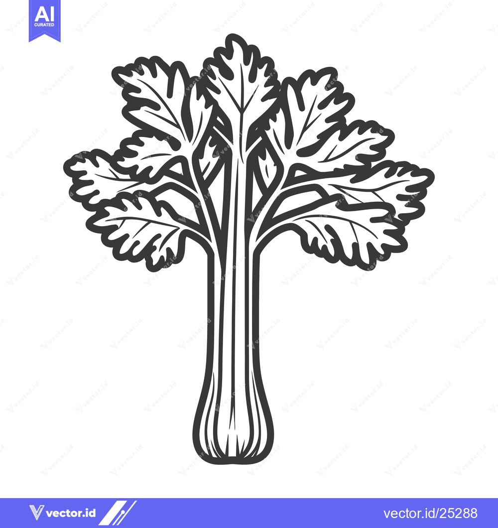 Premium Vector dari Black and White Line Drawing of a Celery Stalk